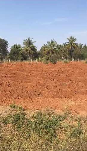 1 acre 16guntas farm land for sale doddabelavangala- Bengaluru rural