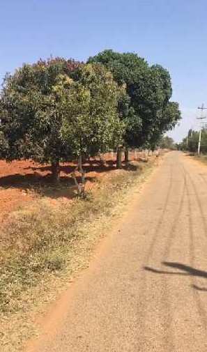 1 acre 16guntas farm land for sale doddabelavangala- Bengaluru rural
