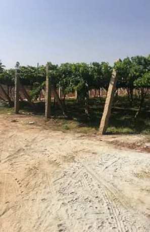 5 acres beautiful farm land Available for sale in Doddballapura- Bengaluru