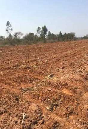 5 acres beautiful farm land Available for sale in Doddballapura- Bengaluru