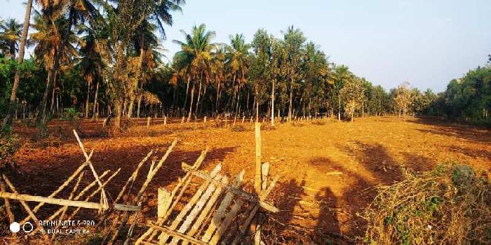 2.5 Acre Agricultural/Farm Land for Sale in ChikBallapur