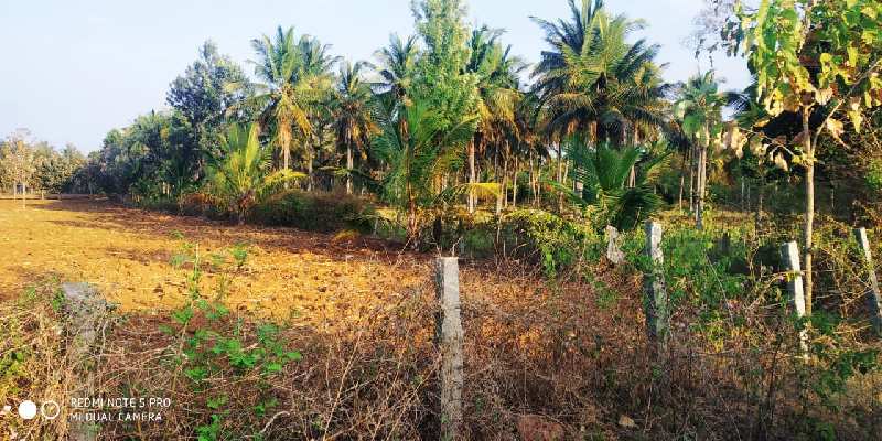 2.5 Acre Agricultural/Farm Land for Sale in ChikBallapur