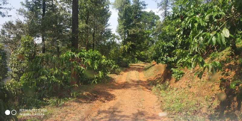 350 acres coffee estate for sale in Chikkamagaluru