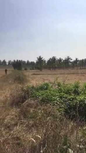 3 acres 20 guntas + 20 guntas farm land Available for sale in Bangalore rural
