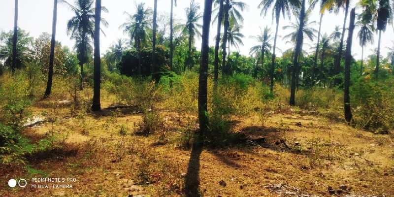 4.5 acre land for sale in chikkamagaluru