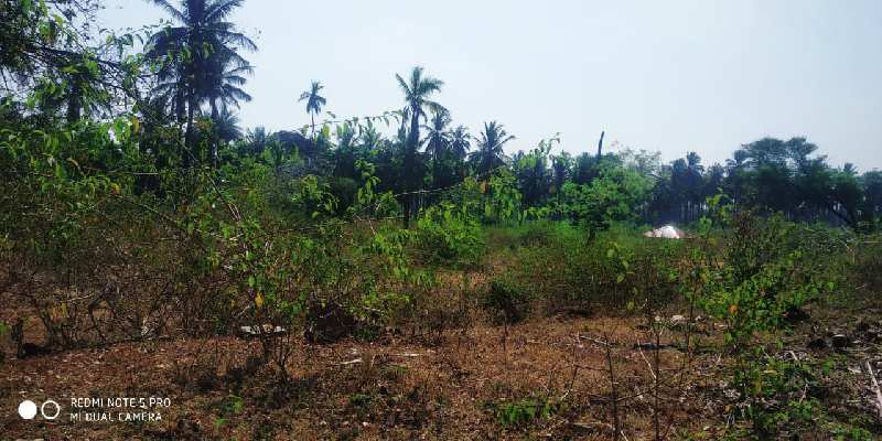 4.5 acre land for sale in chikkamagaluru