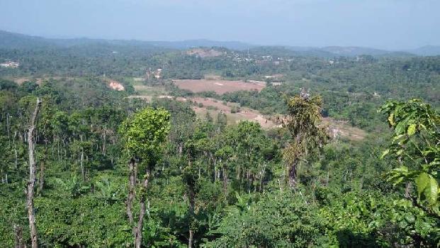 3 acre coffee estate for sale in Sakleshpura