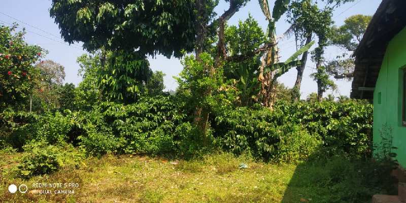 2 acre coffee estate and 1 acre plain land with house for sale mudigere
