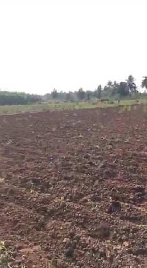 3 acres 23guntas beautiful farm land for sale in Bengaluru rural
