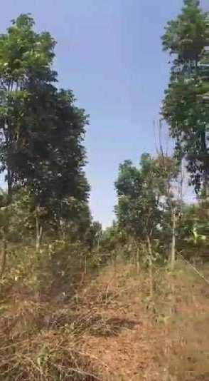 1 acre 23 guntas farm land available for sale in Doddballapura
