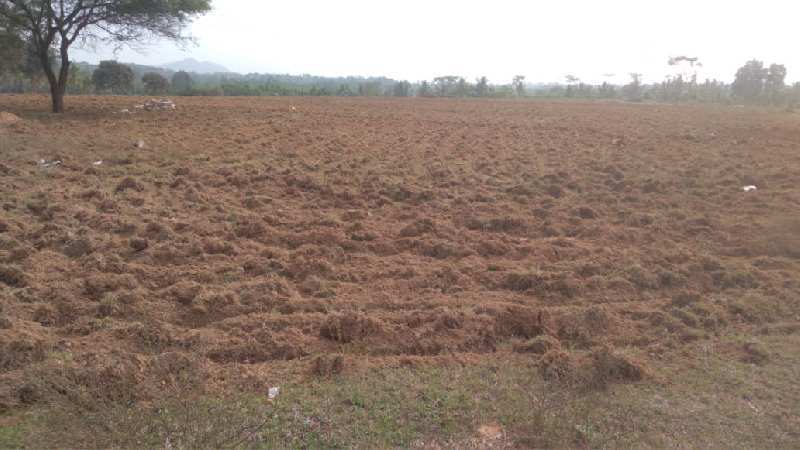 9acres 20 guntas farm land Available for sale in Magadi ,