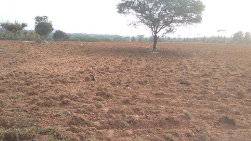 9acres 20 guntas farm land Available for sale in Magadi ,