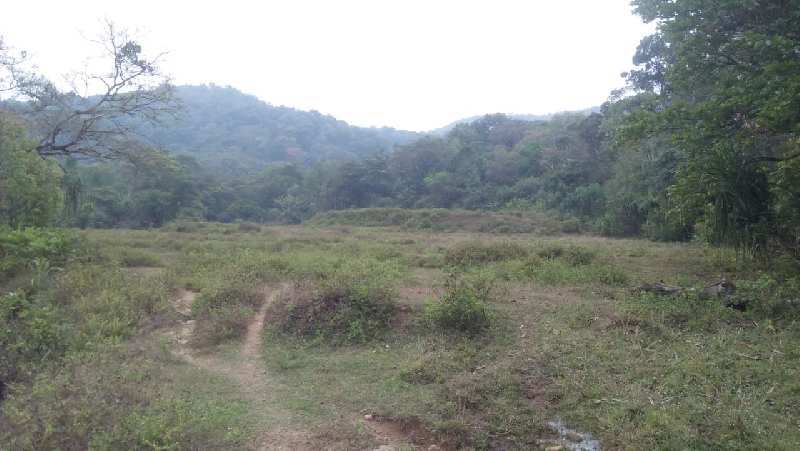 2 acre plain land for sale in Mudigere