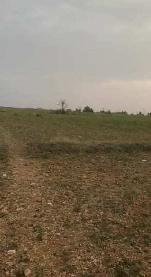 5 acre land for sale in kadur
