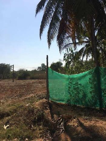 33 guntas farm land for sale in Doddballapura