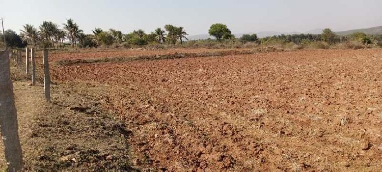 2.11 acre agri land for sale  7 km from Uddeboranahalli  Chikkamgaluru