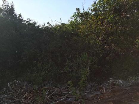 4 acre land for sale in mudigere