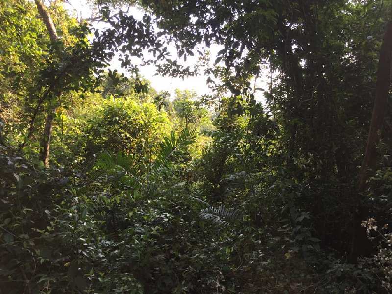 4 acre land for sale in mudigere