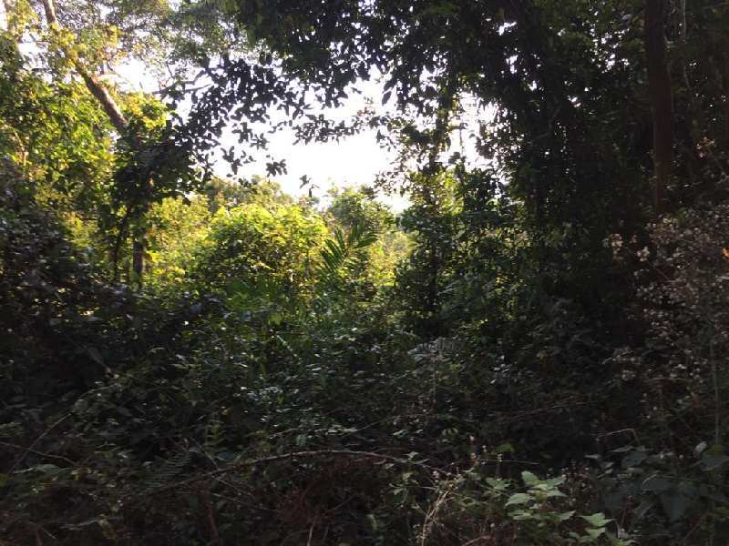 4 acre land for sale in mudigere