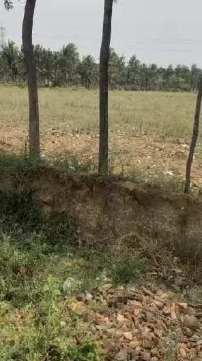 2 Acre Agricultural/Farm Land for Sale in Kadur, Chikmagalur