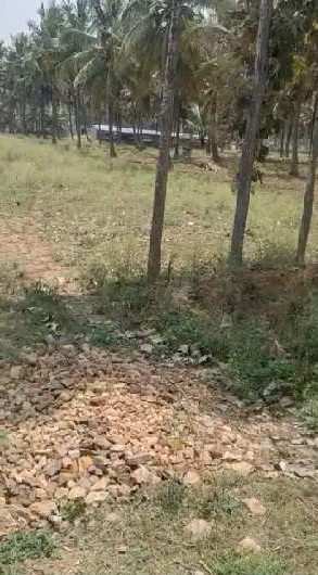 2 acre land for sale in kadur