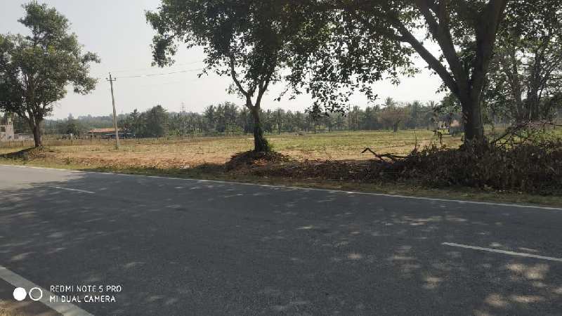 2.5 acre land for sale - Hassan Belur road