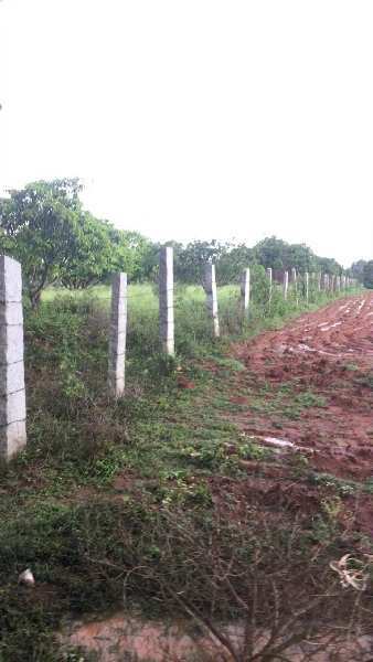 1.9 Acre Agricultural/Farm Land for Sale in Majestic, Bangalore