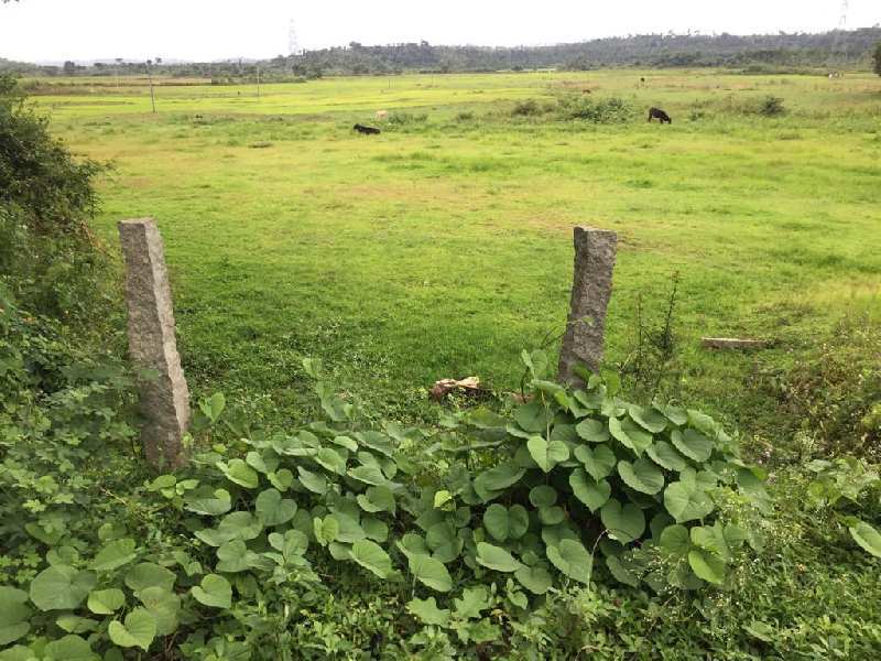 2 Acre Agricultural/Farm Land for Sale in Mudigere, Chikmagalur