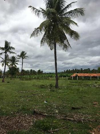 3 Acre Agricultural/Farm Land for Sale in Yeshwanthpur, Bangalore