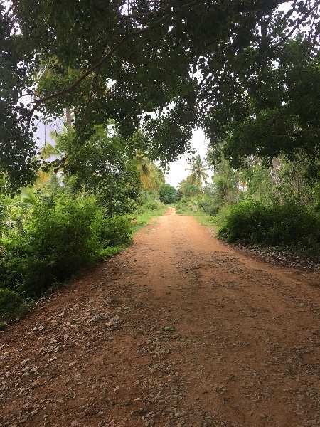 3 Acre Agricultural/Farm Land for Sale in Yeshwanthpur, Bangalore