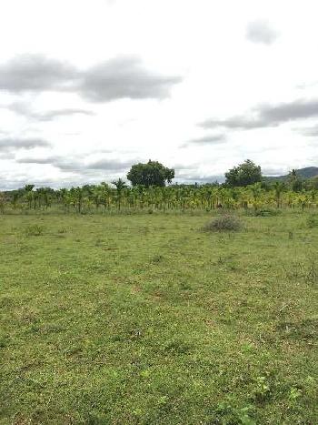 1.20 acre farm land for sale in Bangalore rural