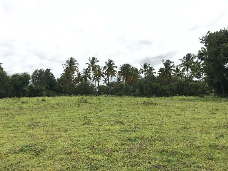 1.20 acre farm land for sale in Bangalore rural