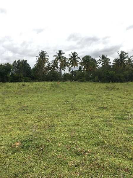 1.20 acre farm land for sale in Bangalore rural