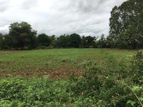 34 Guntha Agricultural/Farm Land for Sale in Yeshwanthpur, Bangalore