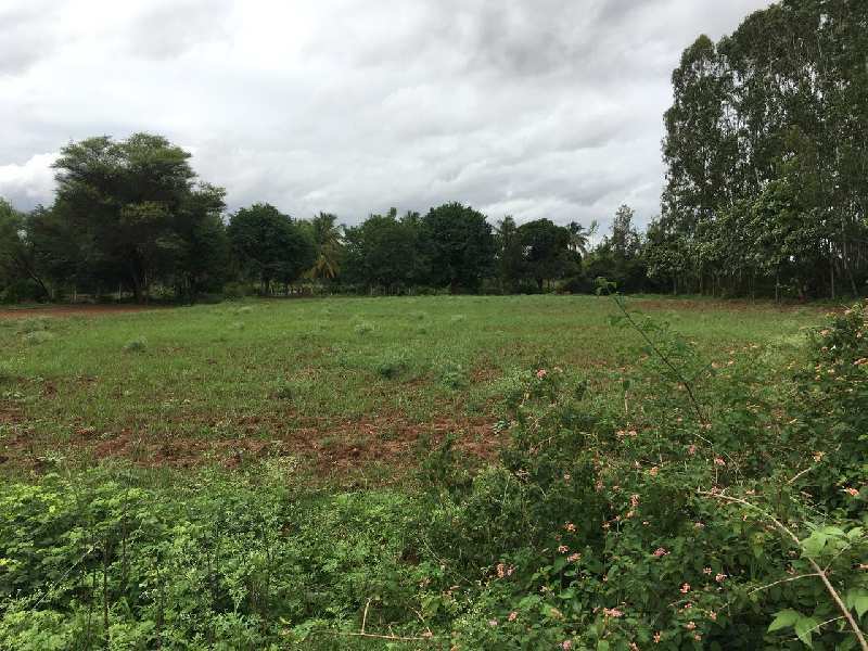 34 Guntha Agricultural/Farm Land for Sale in Yeshwanthpur, Bangalore