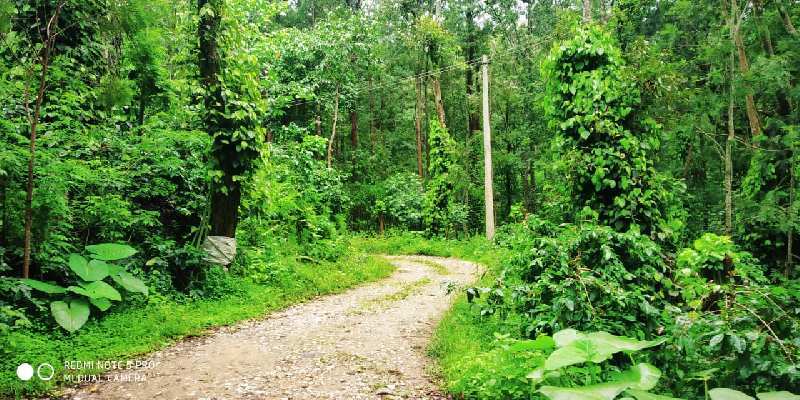 6 acre coffee estate for sale in Chikmagalur