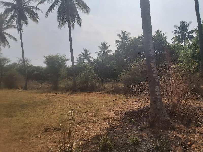 3 acre land at prime location in Nelamangala