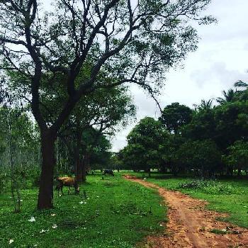 2 acre land for sale in Bengaluru rural