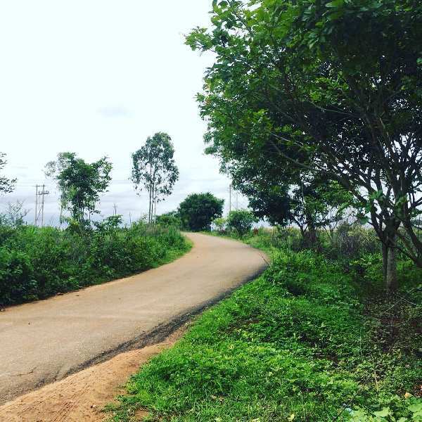 2 acre land for sale in Bengaluru rural