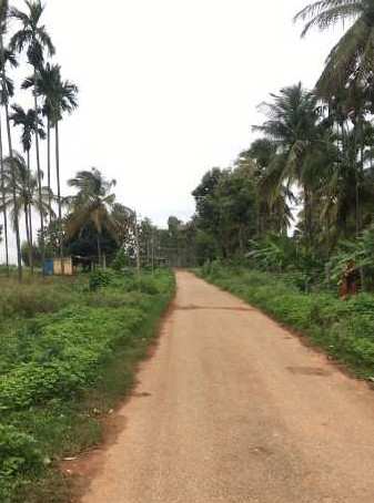 2 acre 32 gunta farm land at prime location for sale at dodballapura