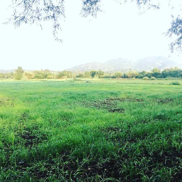 2 acre 35 guntas farmland for sale in Bangalore rural