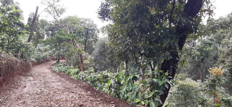 14 acre land for sale in mudigere