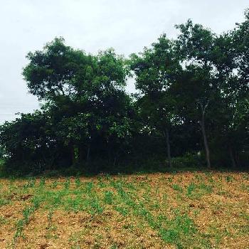 1 acre 1 gunta farmland for sale in Bangalore rural