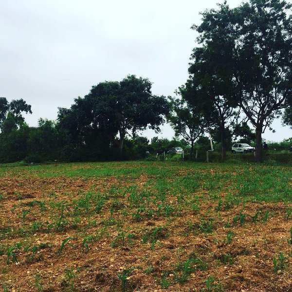 1 acre 1 gunta farmland for sale in Bangalore rural
