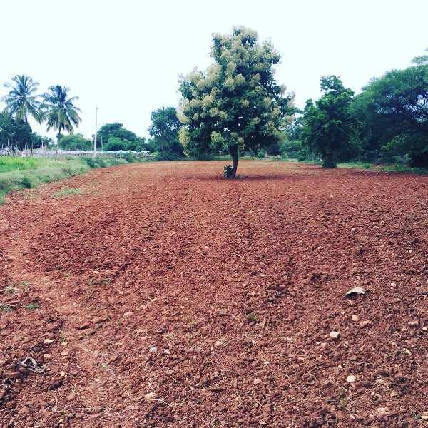1 acre 1 guntas farm land for sale in Bangalore rural
