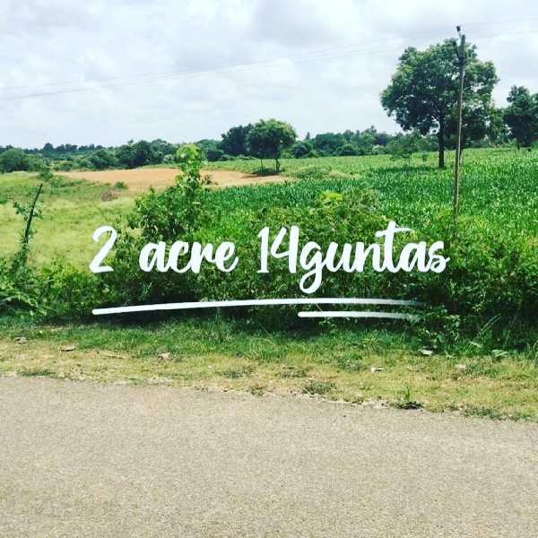 2 acre 14 guntas farm land for sale in dodballapura Bengaluru