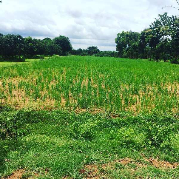 37 guntas farm land for sale in Doddballapura