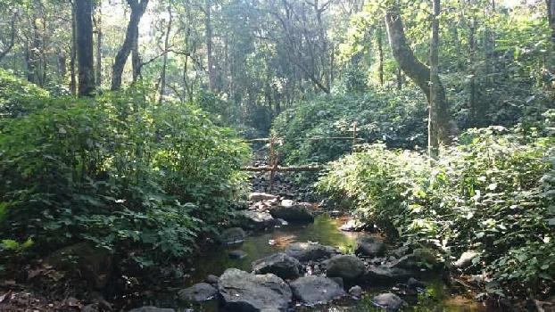 147 acre land for sale in South kodagu