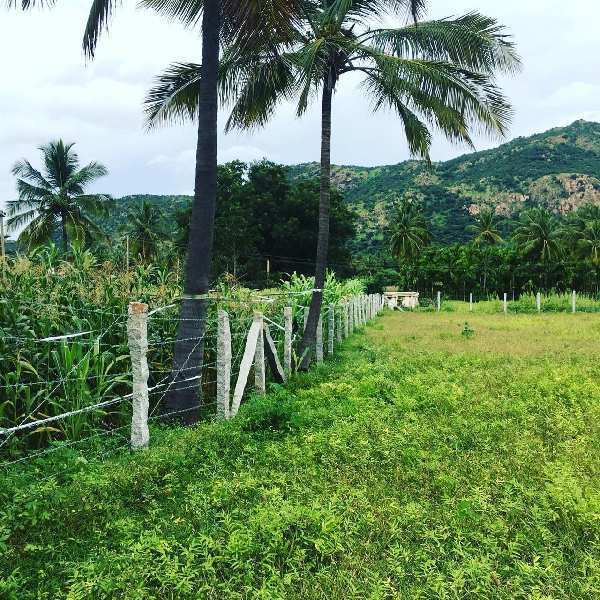 28 guntas hill view farm land for sale in dodballapura
