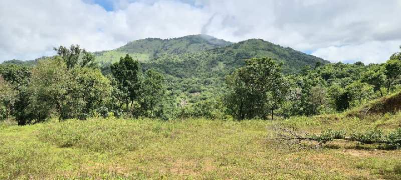50 acre land for sale in Chikkamagaluru